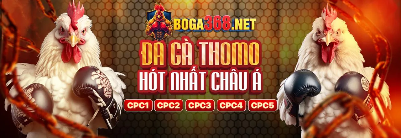 Tải ứng dụng SBOBET và nhận 188k